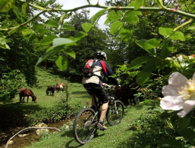 En bici junto al arroyo
